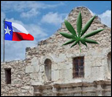 Texas Democratic Party endorses decriminalization of marijuana
