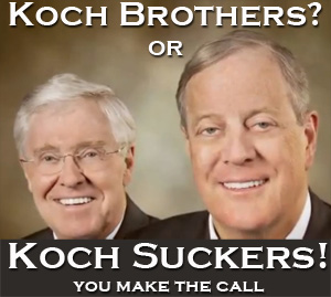 Koch-Suckers