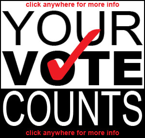 Your-Vote-Counts-link