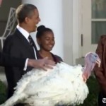 Obama pardons Cobbler the Thanksgiving turkey