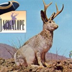Jackalope and other Right Wing Myths