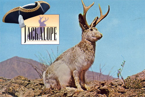 Jackalope-and-other-Right-Wing-Myths