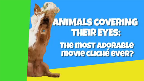Animals Covering Their Eyes: The Most Adorable Movie Cliché Ever?