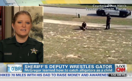 Florida Deputy Wrestles Gator To Protect Children (VIDEO)