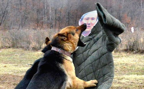 Dogs Maul South Korean Effigies in Bizarre North Korean Video