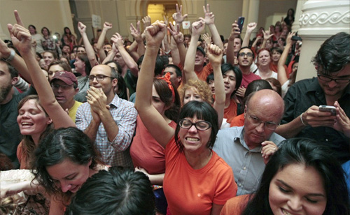 Final Moments of Filibuster: Protesters Credited, Cursed for Abortion Bill Defeat (VIDEOS)