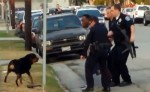 Hawthorne Police Kill Dog