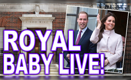 Royal Baby Cam (LIVE FEED)