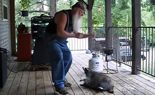 The Hillbilly Slide And One Mad Coon (VIDEO)