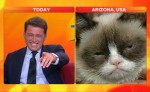 Australian Anchor Loses It Over Grumpy Cat