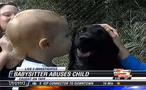 Family Dog Saves Child From Abusive Babysitter (VIDEO)