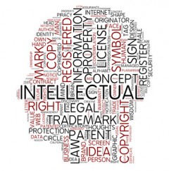 Intellectual Property Rights for Dummies