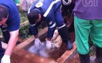 Shocking Video: Buried Alive, Man Freed From Brazil Grave