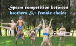 Dancing Chicken Sperm Win 'Dance Your Ph.D.' Competition