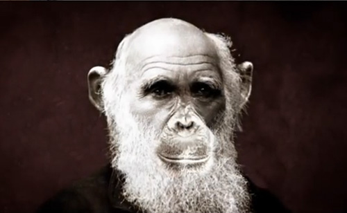HBO’s Questioning Darwin: Creationists Go Full Bat-Shit (VIDEO)