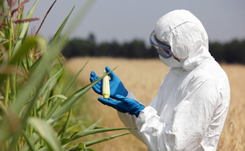 How Monsanto Silences Scientific Dissent