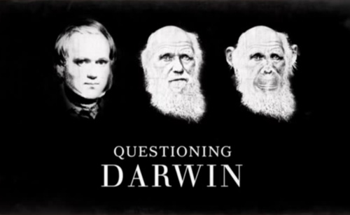 HBO's Questioning Darwin: Creationists Go Full Retard