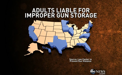 Gun Debate: Gun Owners and Child Fatalities