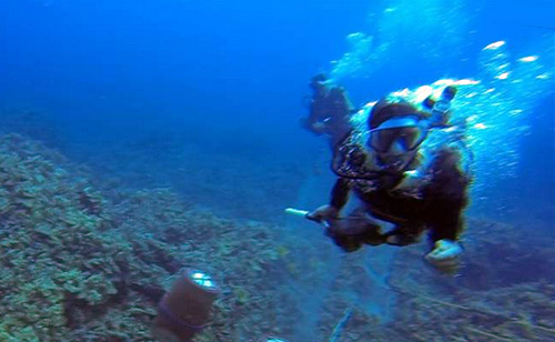 Caught On Camera: Scuba Diver Attacks Environmentalist (VIDEO)