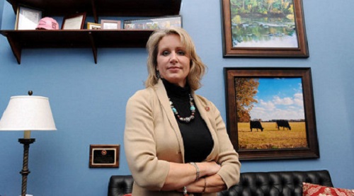 A Message To Congresswoman Renee Ellmers About Context, Leftists & Sexism