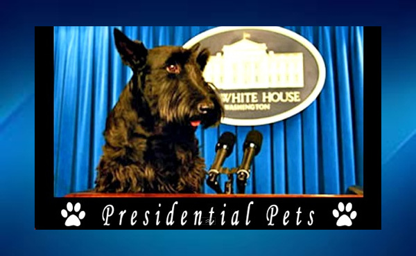 FUN! Nonpartisan Presidential Pets Montage (VIDEO)