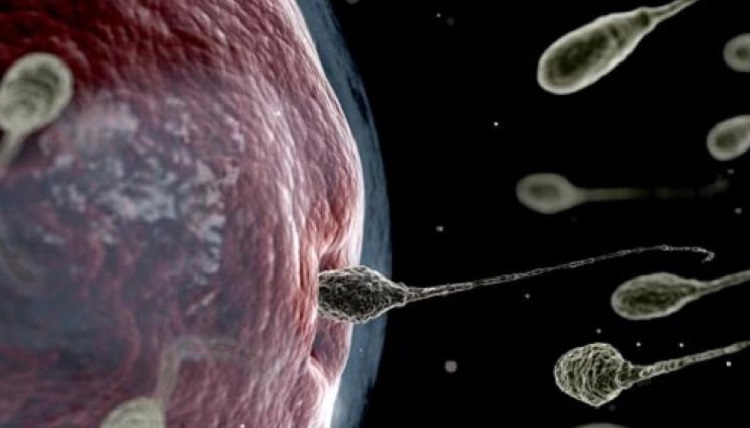 The Man Pill: Male Contraception Is About To Change Everything
