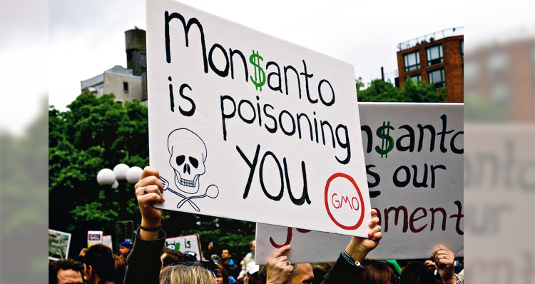 Mercenaries And Former CIA Agents Battling It Out With Monsanto Activists – VIDEO