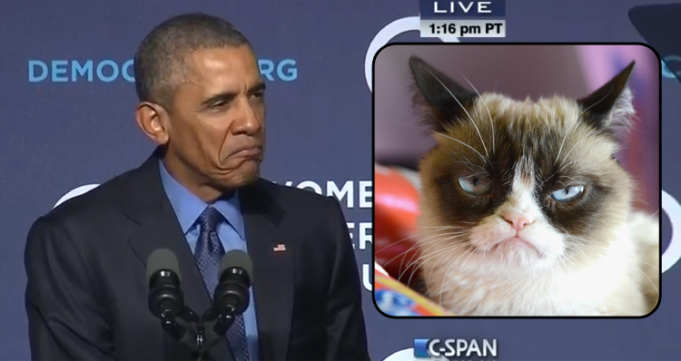Obama Trolls Republicans, Comparing Them To Grumpy Cat (Video)