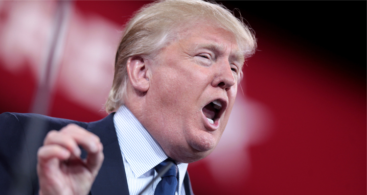 ‘Loser.com’ Hilariously Mocks Donald Trump