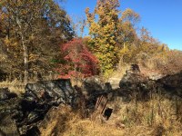 Ruins of the Leiter house today