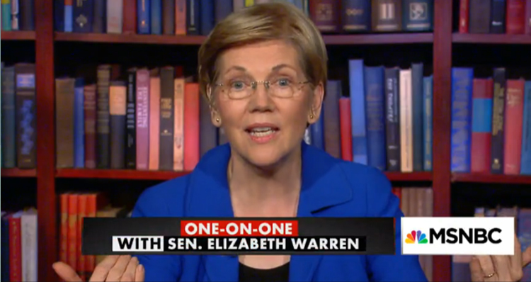 Elizabeth Warren Hits Back At GOP Congressman Who Says She Should Be Neutered – Video