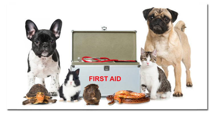 pet-rescue-bill