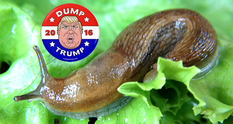 Donald Trump Declared A ‘Revolting Slug’ By Unanimous Vote – Video