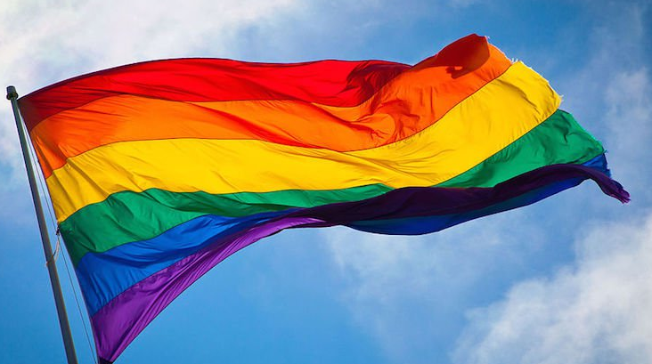 Mike Pence Trolled By Neighbors Flying Gay Pride Flags 