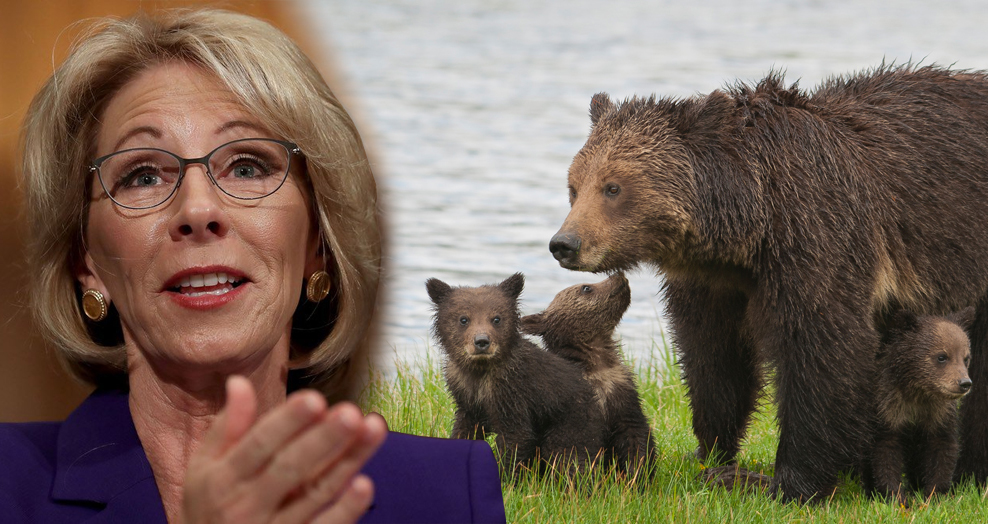 Trump Nominee Mercilessly Mocked After Citing Grizzly Bears As Reason For Guns In Schools