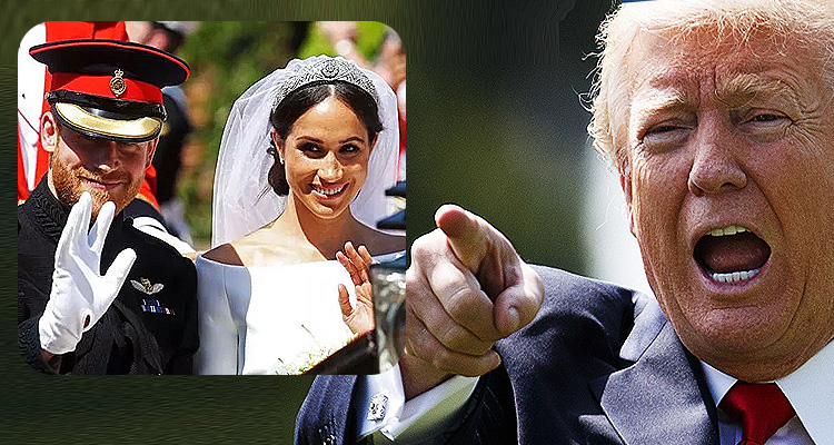 J.K. Rowling And The BBC Troll Trump With Royal Wedding Crowd Photos