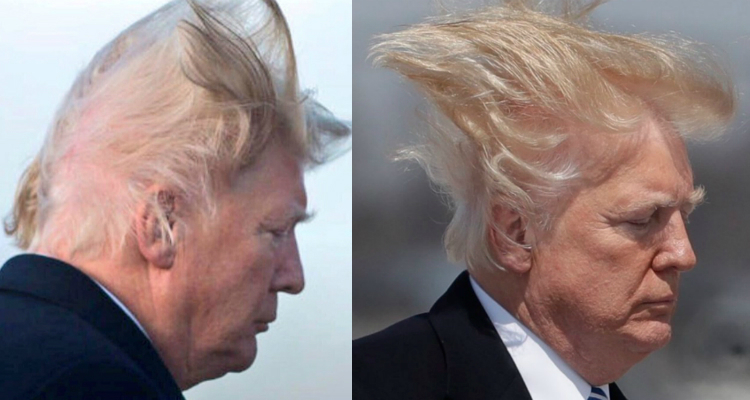 Trumps hair