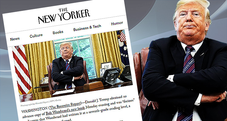 The New Yorker Delivers 5 Hilarious Knockout Blows To Trump In Less Than A Week